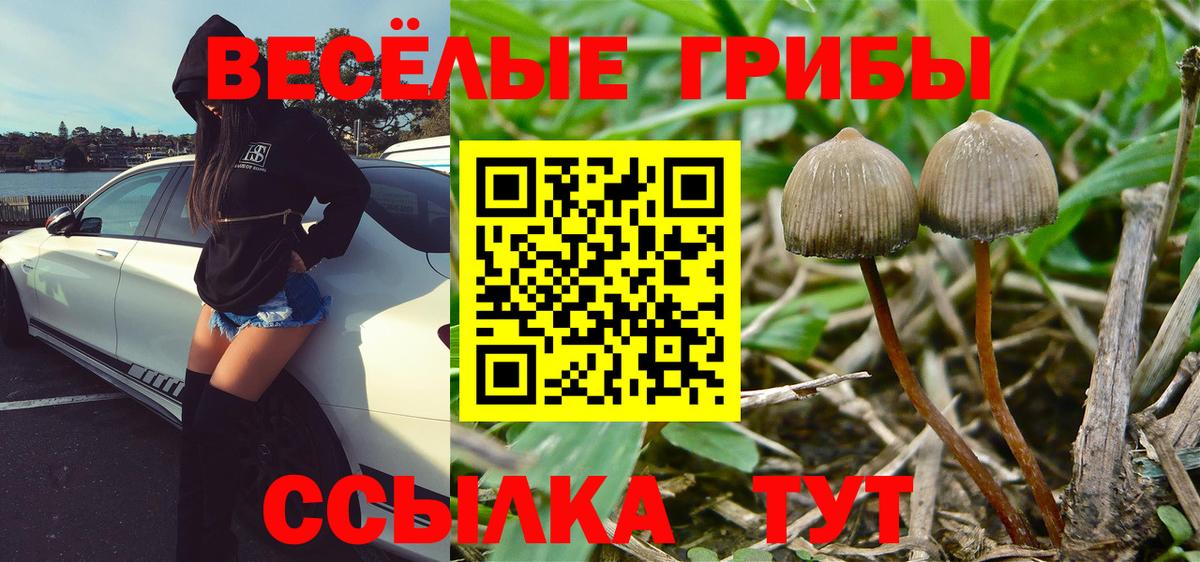 Галлюциногенные грибы прущие грибы  Вход с VPN  Псилоцибиновые грибы Magic Shrooms  Алейск 
