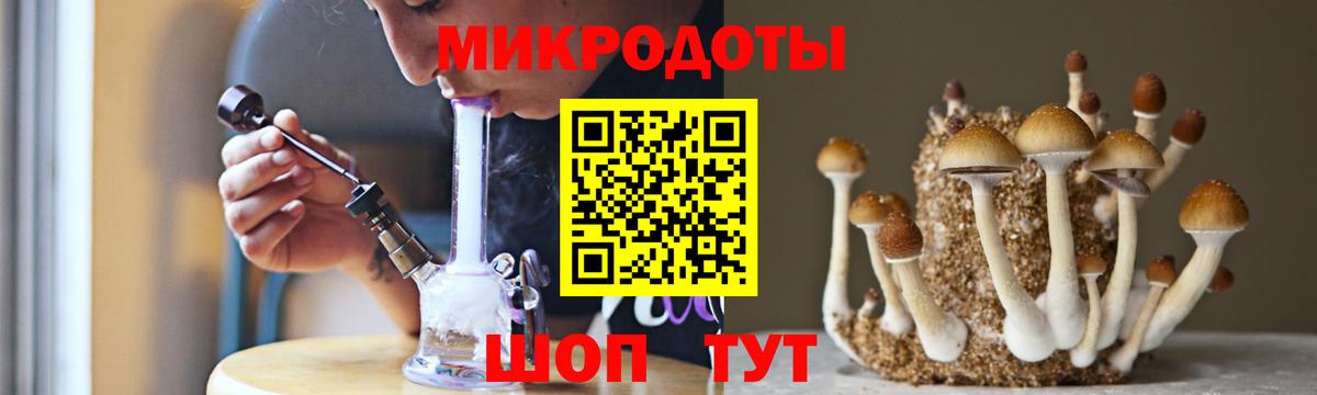 Галлюциногенные грибы Magic Shrooms Алейск