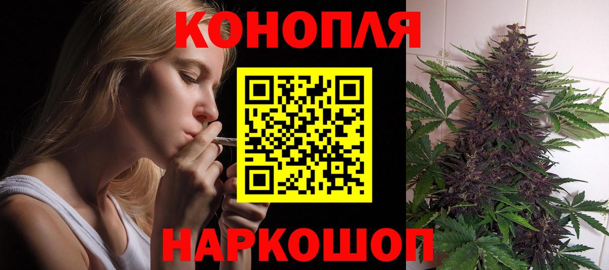 Марихуана индика  Вход с VPN  Бошки Шишки SATIVA & INDICA  Шишки марихуана сатива  Алейск 